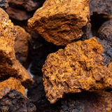 60g Dehydrated Chaga Mushroom Powder