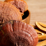 Reishi Ultrasonic Dual Extract Tincture - 60ml